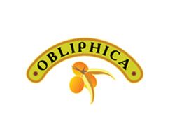  OBLIPHICA