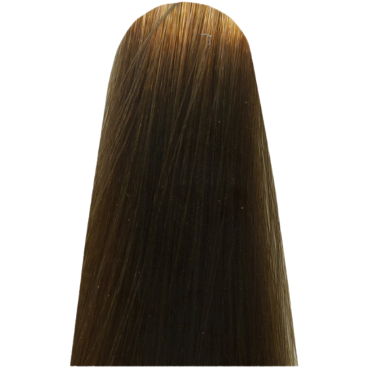 צבע שיער 8 FUNDAMENTAL LIGHT BLOND מג`ירל MAJIREL לוריאל צבע לשיער 50 גרם