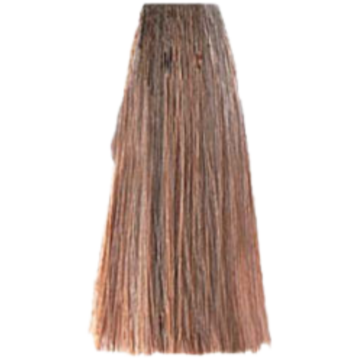צבע שיער 8.03 WARM LIGHT BLONDE פארמויטה FarmaVita צבע לשיער 100 גרם