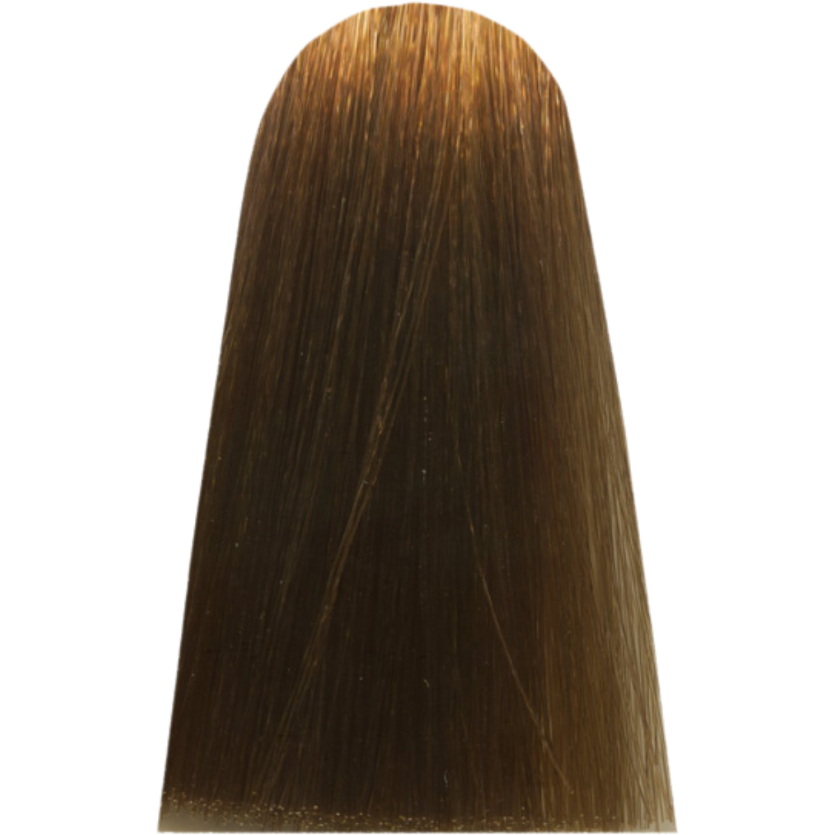 צבע שיער 8,31 LIGHT GOLDEN ASH BLOND מג`ירל MAJIREL צבע לשיער לוריאל 50 גרם