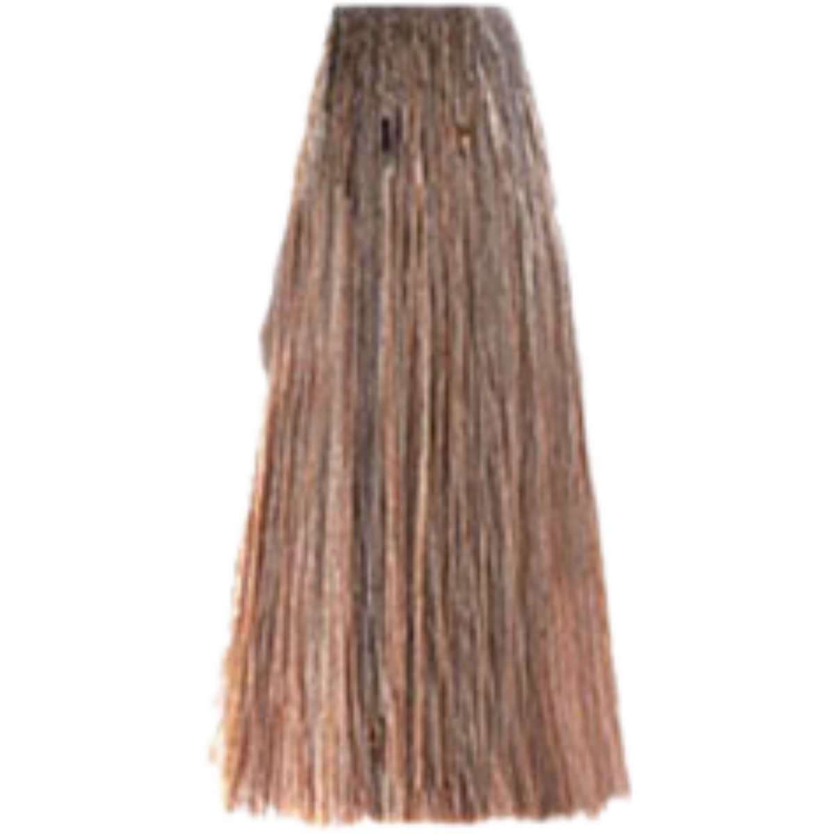 צבע שיער 10.1 PLATINUM ASH BLONSE פארמויטה FarmaVita צבע לשיער 100 גרם