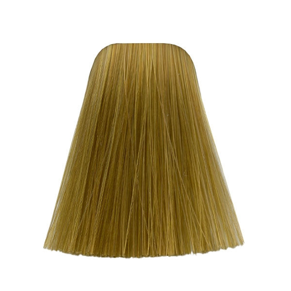 צבע לשיער 9-55 EXTRA LIGHT BLONDE GOLD EXTRA איגורה IGORA שוורצקופף 60 גרם