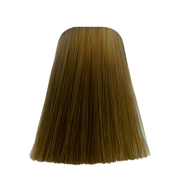 צבע לשיער 8-46 LIGHT BLONDE BEIGE CHOCOLATE איגורה IGORA שוורצקופף 60 גרם