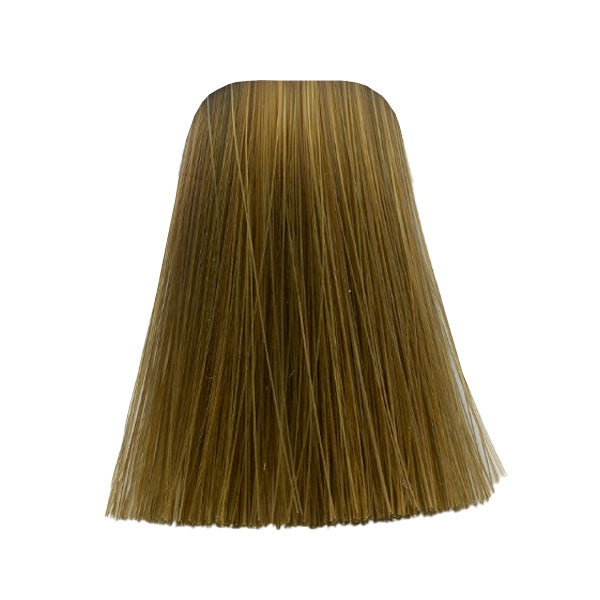 צבע לשיער 7-55 MEDIUM BLONDE GOLD EXTRA איגורה IGORA שוורצקופף 60 גרם