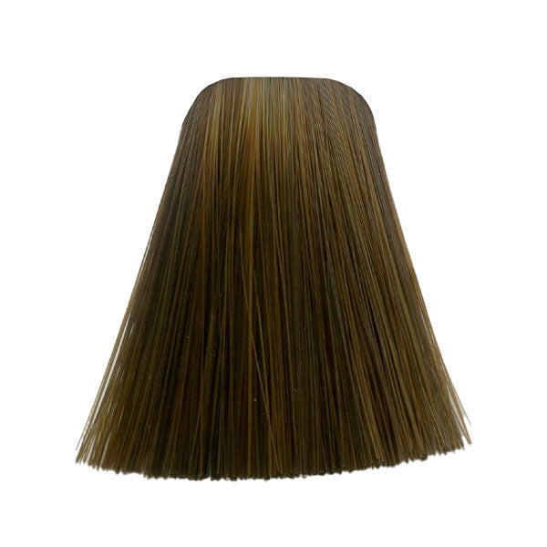 צבע לשיער 6-46 DARK BLONDE BEIGE CHOCOLATE איגורה IGORA שוורצקופף 60 גרם