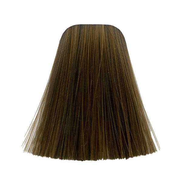 צבע לשיער 6-6 DARK BLONDE CHOCOLATE איגורה IGORA שוורצקופף 60 גרם
