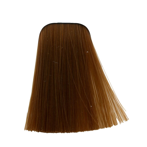 צבע לשיער 9-7 EXTRA LIGHT BLONDE COPPER איגורה IGORA שוורצקופף 60 גרם