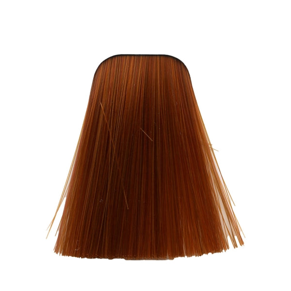 צבע לשיער 8-77 LIGHT BLONDE COPPER EXTRA איגורה IGORA שוורצקופף 60 גרם