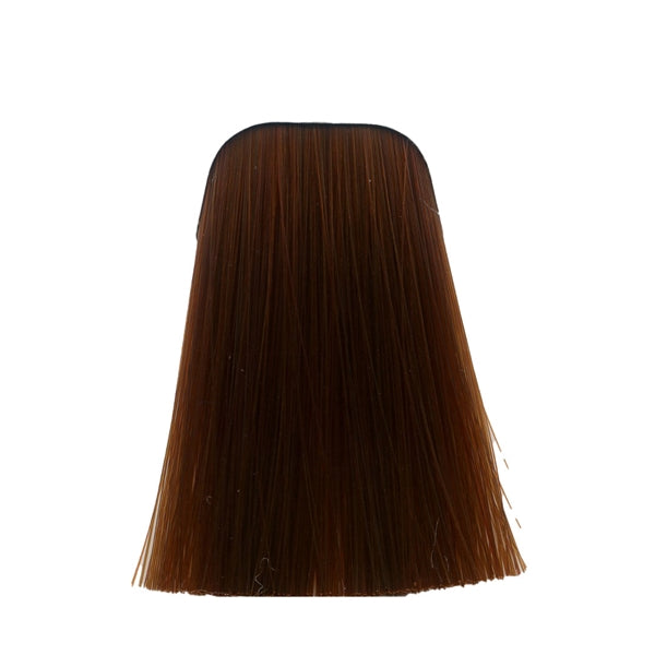 צבע לשיער 7-77 MEDIUM BLONDE COPPER EXTRA איגורה IGORA שוורצקופף 60 גרם