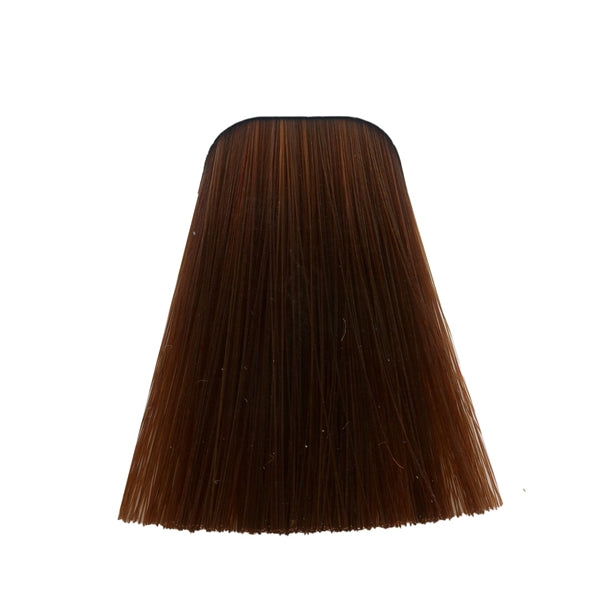 צבע לשיער 6-77 DARK BLONDE COPPER EXTRA איגורה IGORA שוורצקופף 60 גרם