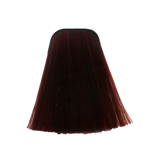 צבע לשיער 6-88 DARK BLONDE RED EXTRA איגורה IGORA שוורצקופף 60 גרם