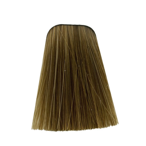 צבע לשיער 9-460 EXTRA LIGHT BLONDE BEIGE CHOCOLATE NATURAL איגורה IGORA שוורצקופף 60 גרם