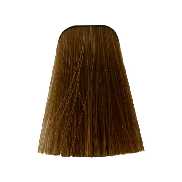 צבע לשיער 9-470 EXTRA LIGHT BLONDE BEIGE COPPER NATURAL איגורה IGORA שוורצקופף 60 גרם