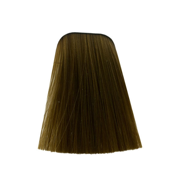 צבע לשיער 9-560 EXTRA LIGHT BLONDE GOLD CHOCOLATE איגורה IGORA שוורצקופף 60 גרם