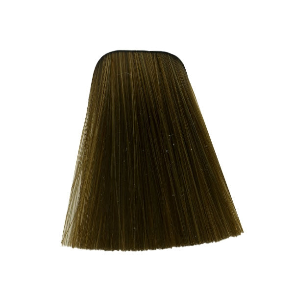 צבע לשיער 8-50 LIGHT BLONDE GOLD NETURAL איגורה IGORA שוורצקופף 60 גרם