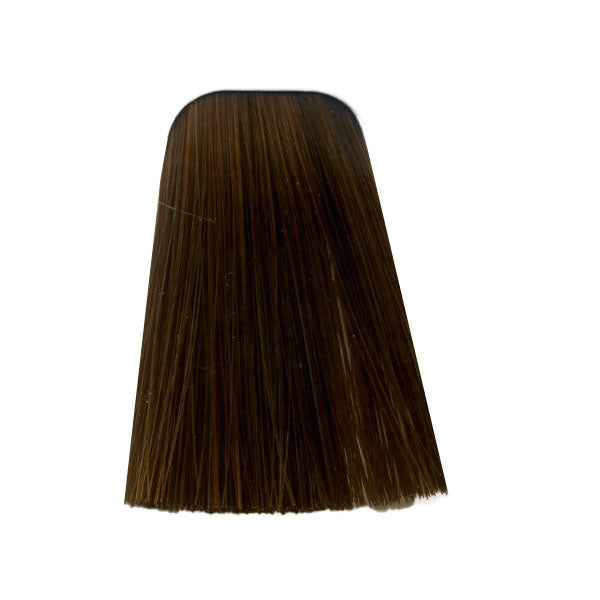 צבע לשיער 7-470 MEDIUM BLONDE BEIGE COPPER NATURAL איגורה IGORA שוורצקופף 60 גרם