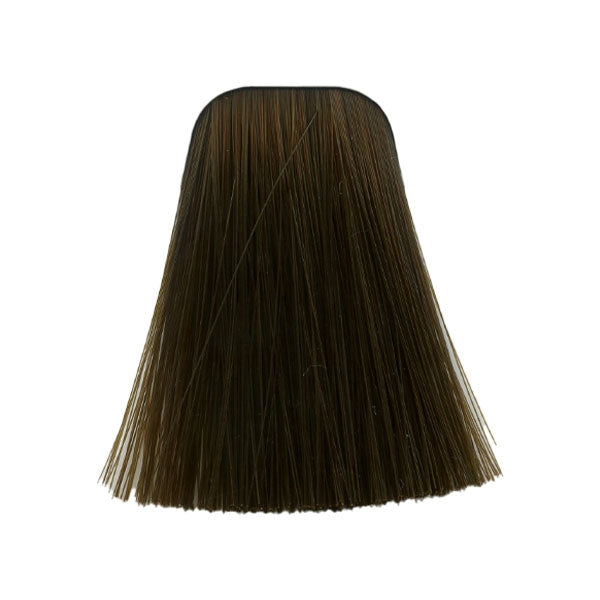 צבע לשיער 6-460 DARK BLONDE BEIGE CHOCOLATE NATURAL איגורה IGORAשוורצקופף 60 גרם