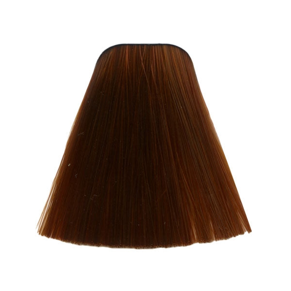 צבע לשיער 7-710 MEDIUM BLONDE BEIGE COPPER NATURAL איגורה IGORA שוורצקופף 60 גרם