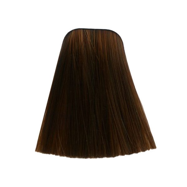 צבע לשיער 6-70 DARK BLONDE COPPER NATURAL איגורה IGORA שוורצקופף 60 גרם
