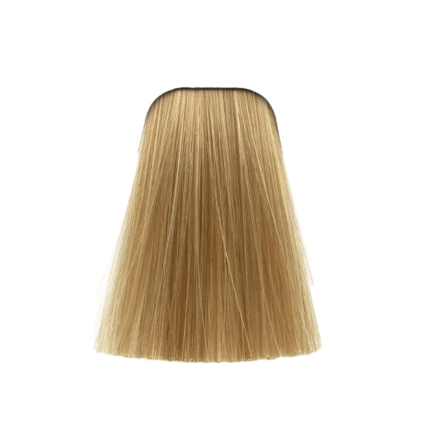 צבע לשיער 12-1 SPECIAL BLONDE CENDRE איגורה IGORA שוורצקופף 60 גרם