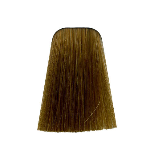 צבע לשיער10-46 ULTRA BLONDE BEIGE CHOCOLATE איגורה IGORA שוורצקופף 60 גרם