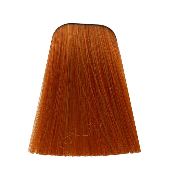 צבע לשיער 0-77 COPPER CONCETRATE איגורה IGORA שוורצקופף 60 גרם