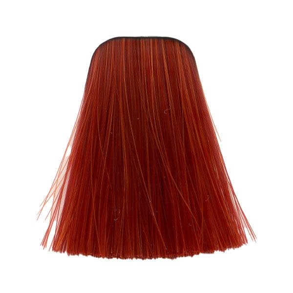 צבע לשיער 0-88 RED CONCETRATE איגורה IGORA שוורצקופף 60 גרם
