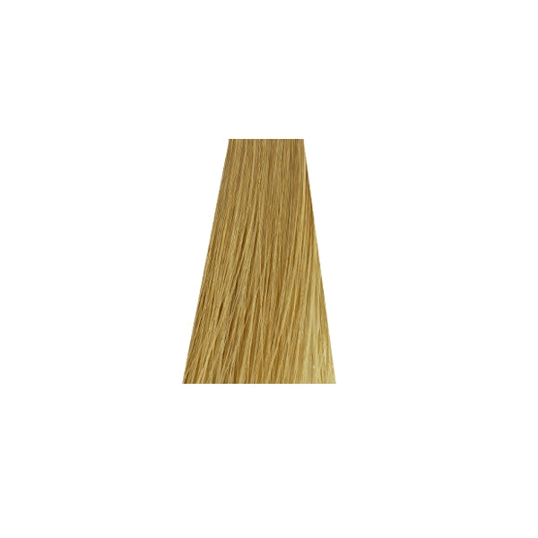 צבע שיער ללא אמוניה 10-0 טבע ULTRA BLONDE NATURAL זירו אמוניה ZERO AMM שוורצקופף 60 גרם