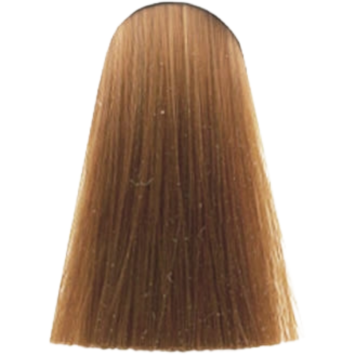 צבע לשיער 8.43 LIGHT BLONDE COPPER GOLD אינדולה INDOLA צבע לשיער 60 גרם