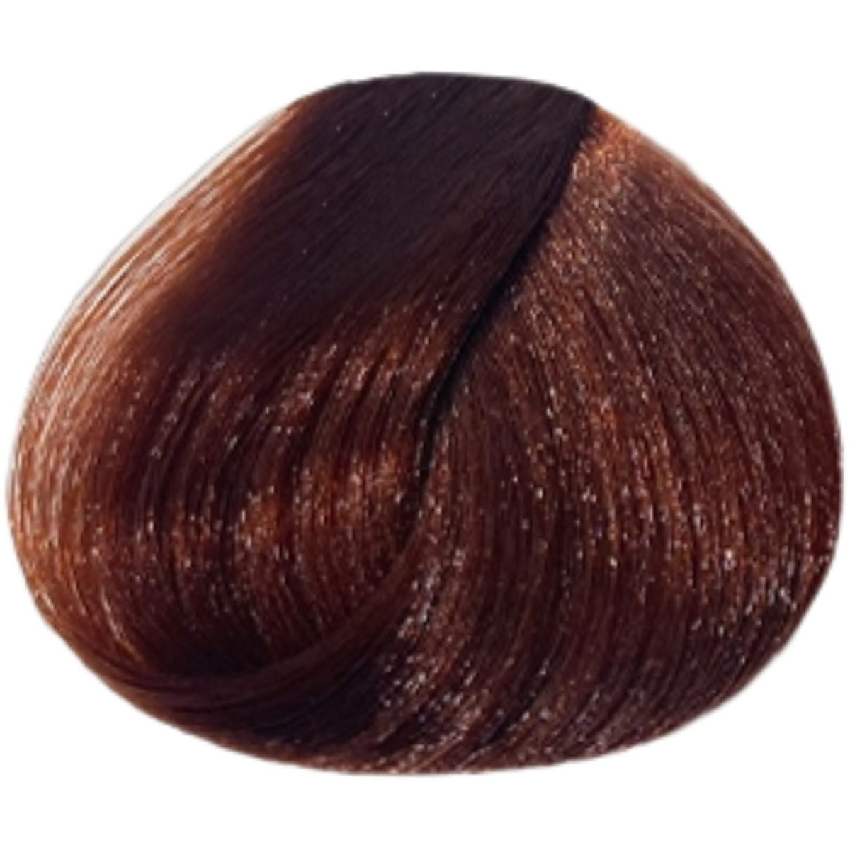 צבע שיער 5.43 LIGHT COPPER GOLDEN BLONDE פארמויטה FarmaVita צבע לשיער 100 גרם
